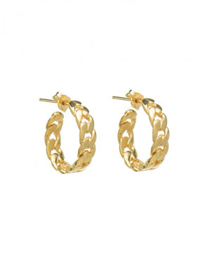 
                
                    Load image into Gallery viewer, Chain Hoops Small Earrings
                
            